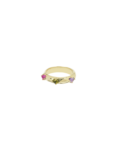 Ziggy Ring 2023