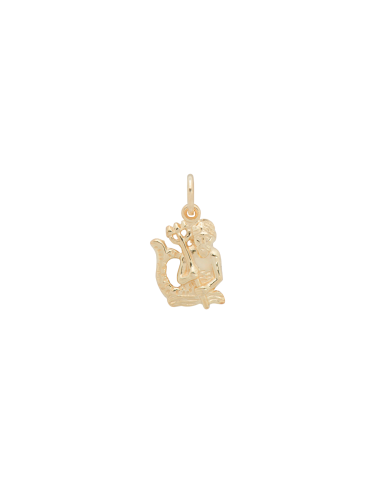 Zodiac Charm 14K Fin de série