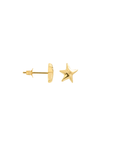 Single Mesmerising Star Stud Earring 14K Les êtres humains sont 