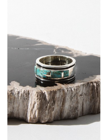 Tallulah Turquoise Ring pour bénéficier 