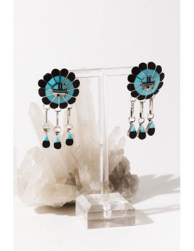 Raining Sun Turquoise Earrings Comparez plus de prix