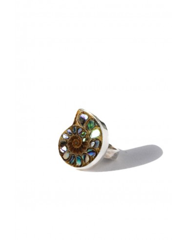 Sacred Union Ammonite & Abalone Ring Amélioration de cerveau avec