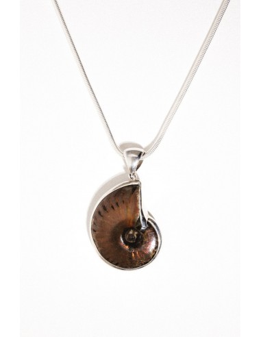 Ocean Dweller Ammonite Necklace rembourrage situé sous