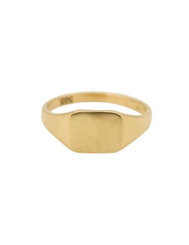 Pinky Signet Ring Square 14K les ligaments